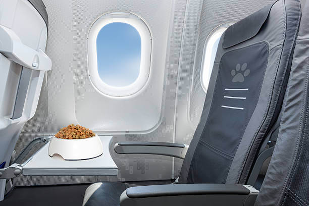 Taking to the Skies: Why Flying is Safe and Comfortable for Puppies and Dogs