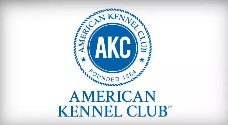 The American Kennel Club (AKC): A Legacy of Excellence in Purebred Dogs